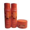 Kit Cenoura e Brilho Cond+Shamp+Masc 3 Passos  Onixx Brasil