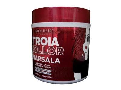 Máscara Tonalizante Troia Collor Marsala Troia Hair 500gr