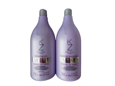 Kit Kaizen Vitae Extrato de Mirtilo 2x2,5L