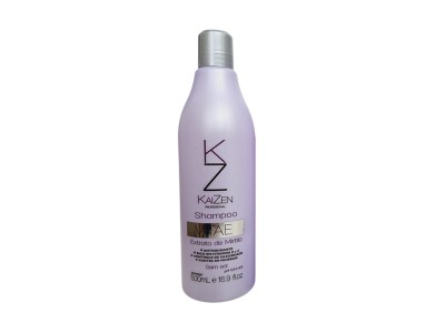 Shampoo VITAE Extrato de Mirtilo Kaizen 500ml